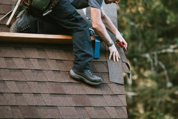 Best Gutter Installation and Roofing  in Shady Side, MD